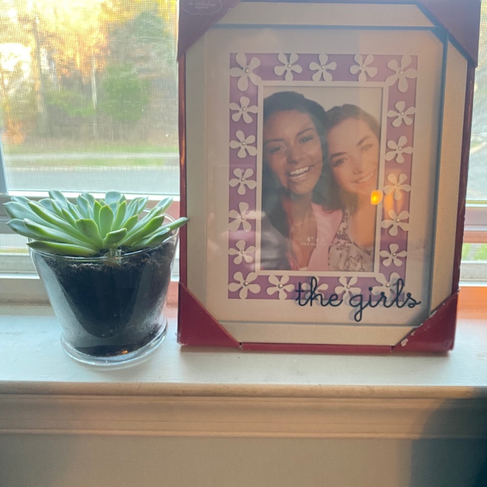 4” x 6” picture frame